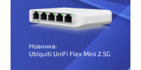 Новинка: Flex Mini 2.5G