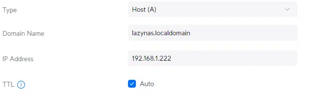 Ввод параметров для локальной записи DNS